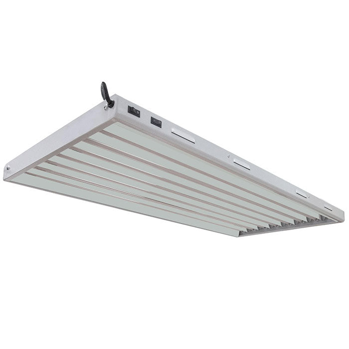 Fluorescent Light